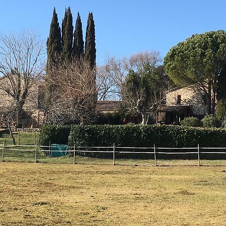 Podere Conte Racani Amelia Εξωτερικό φωτογραφία