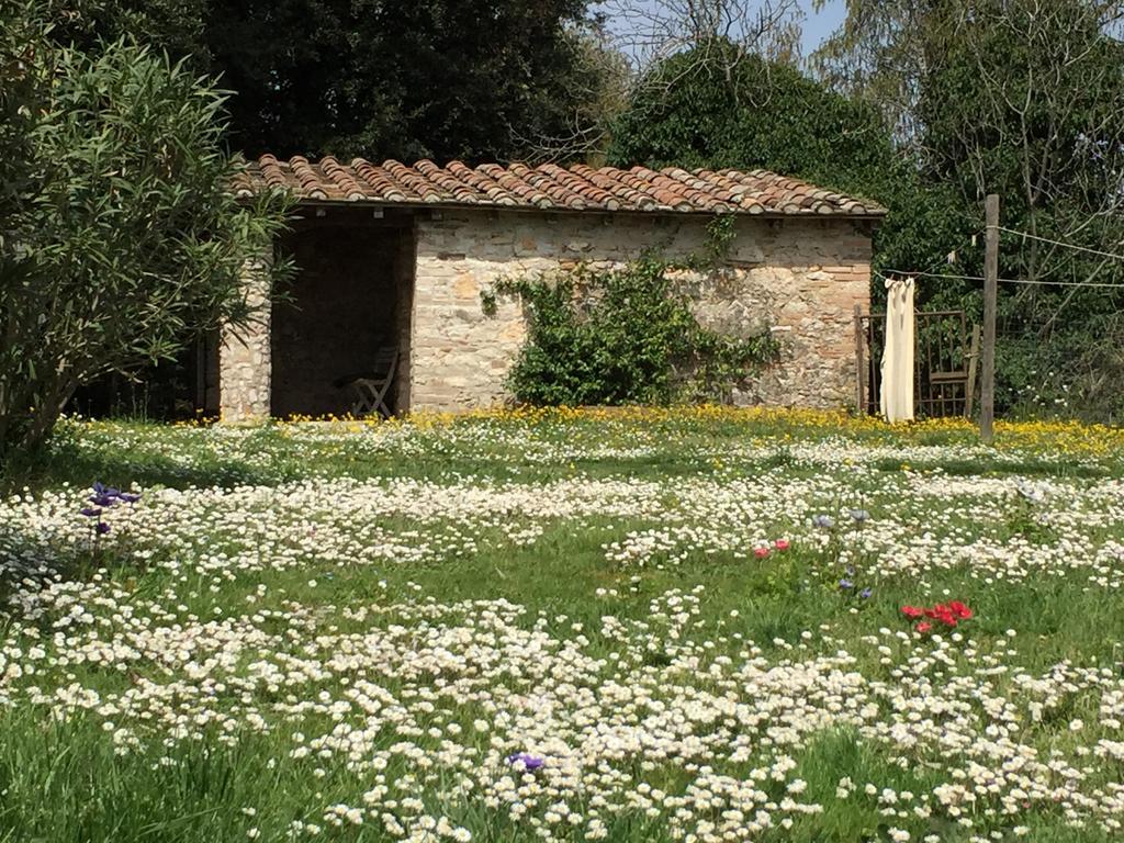Podere Conte Racani Amelia Εξωτερικό φωτογραφία