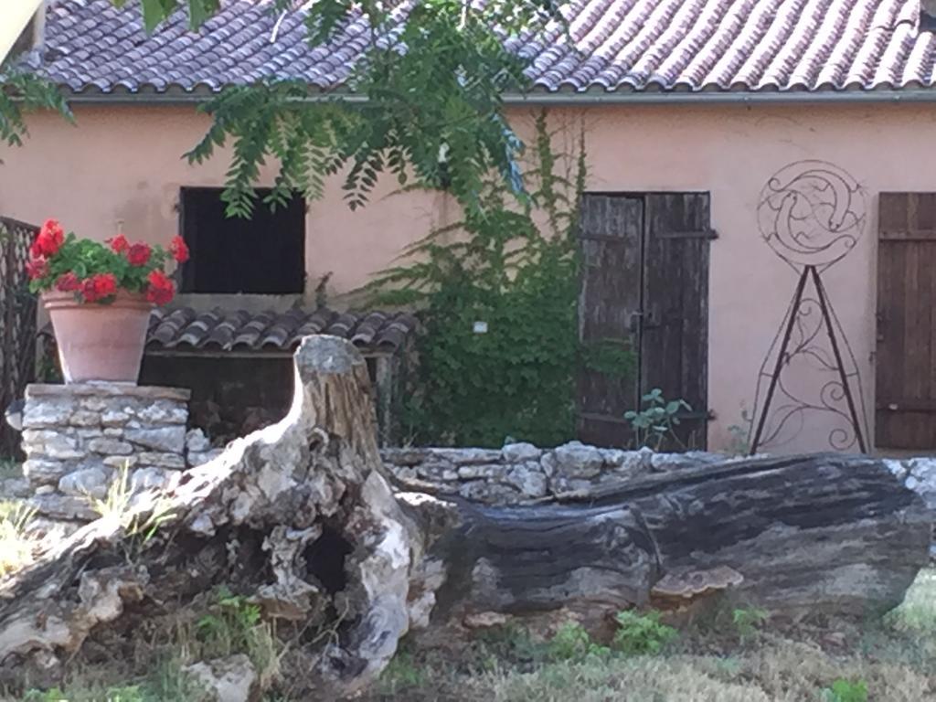 Podere Conte Racani Amelia Εξωτερικό φωτογραφία
