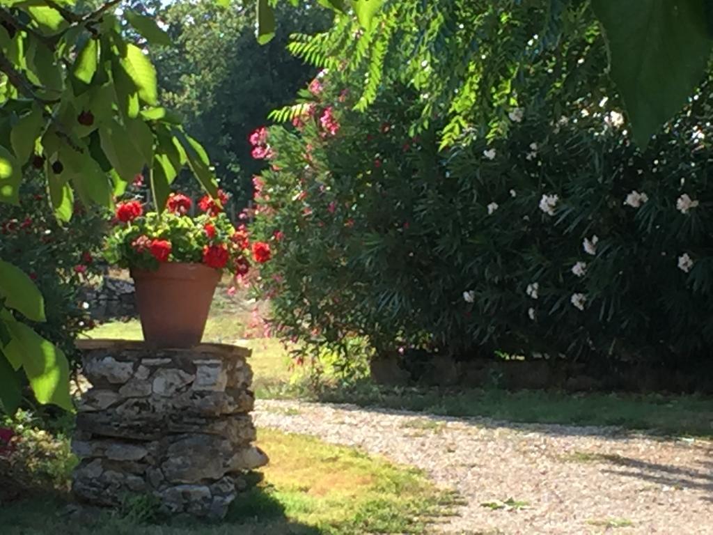 Podere Conte Racani Amelia Εξωτερικό φωτογραφία