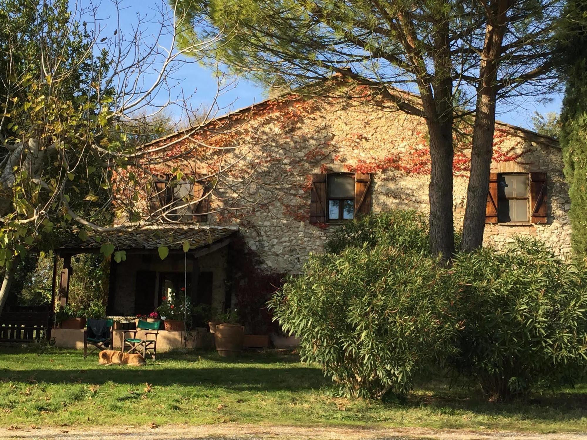 Podere Conte Racani Amelia Εξωτερικό φωτογραφία
