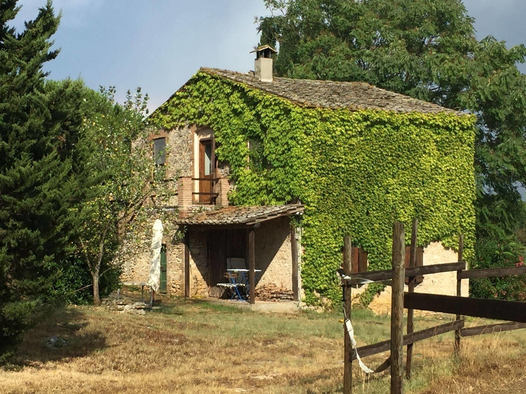 Podere Conte Racani Amelia Εξωτερικό φωτογραφία