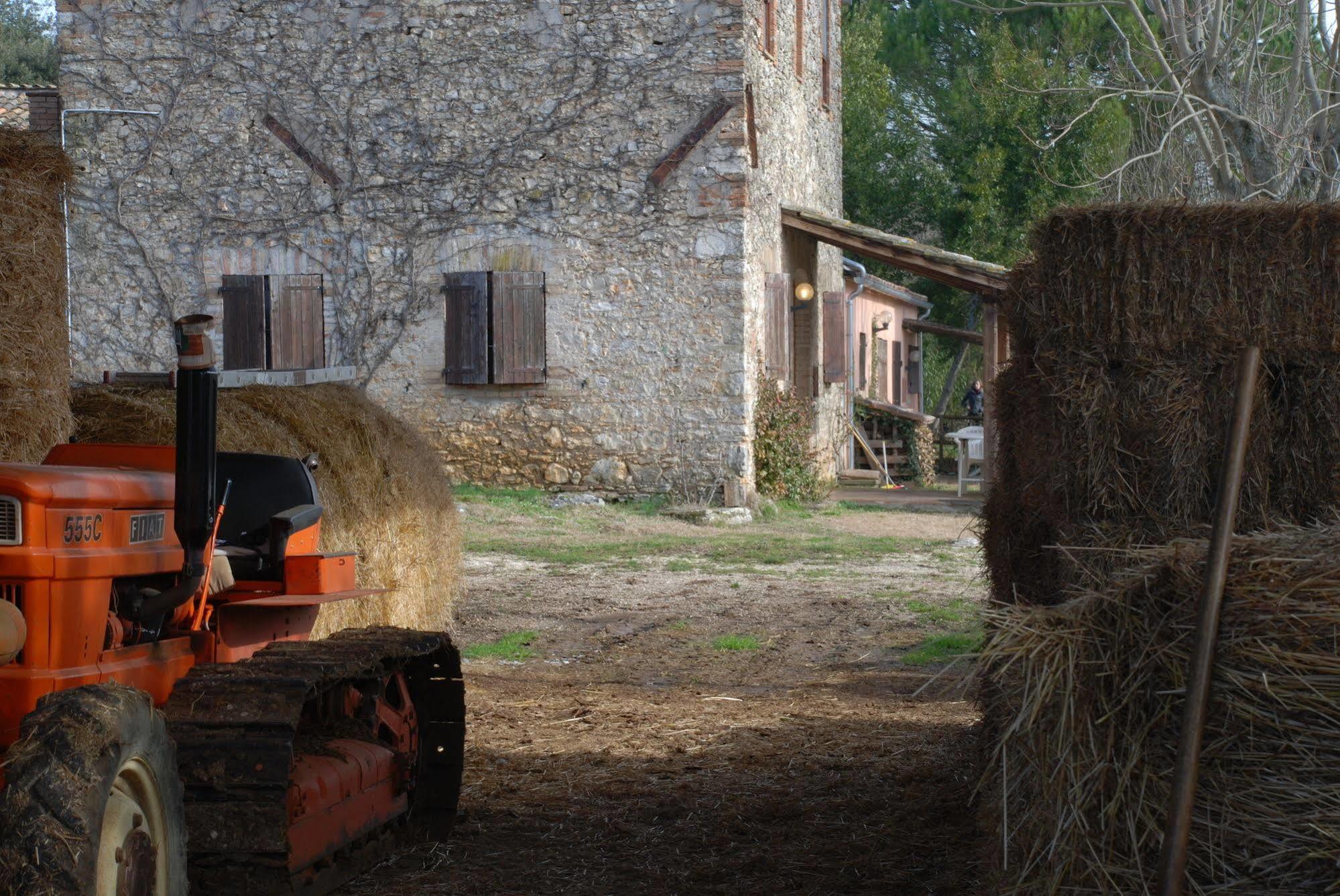 Podere Conte Racani Amelia Εξωτερικό φωτογραφία