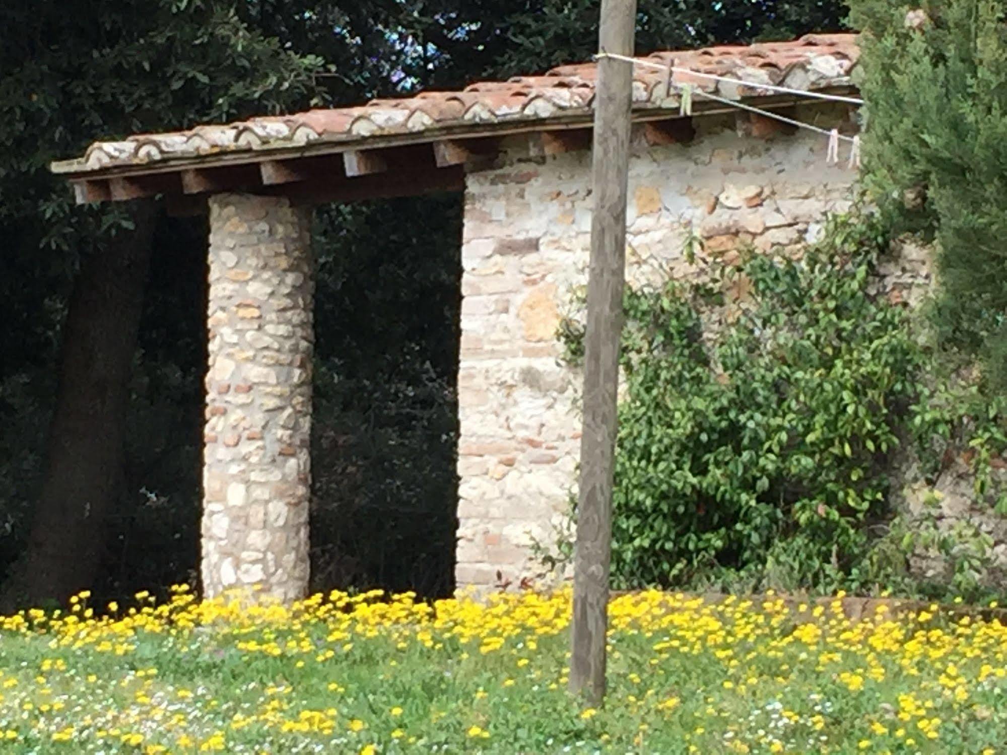 Podere Conte Racani Amelia Εξωτερικό φωτογραφία