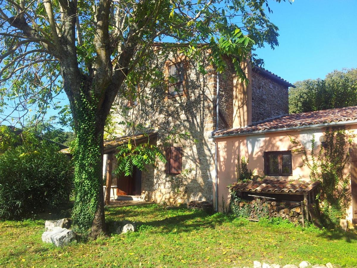 Podere Conte Racani Amelia Δωμάτιο φωτογραφία